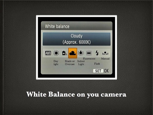 How to White Balance.008.jpg